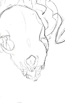 HuniiDragon's tweet photo. some sneaky peekies at something new to come 👀👀 https://t.co/zZQ5JDU5w4