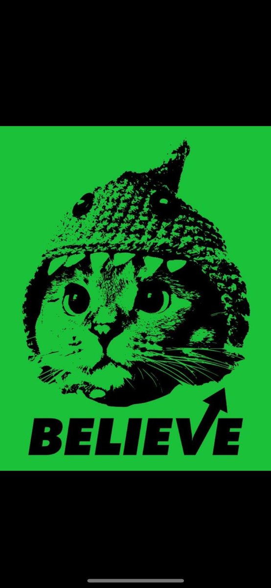 RoostyDrew's tweet photo. @SharkCatSolana @iamnalacat https://t.co/GPTt5ndZ2k