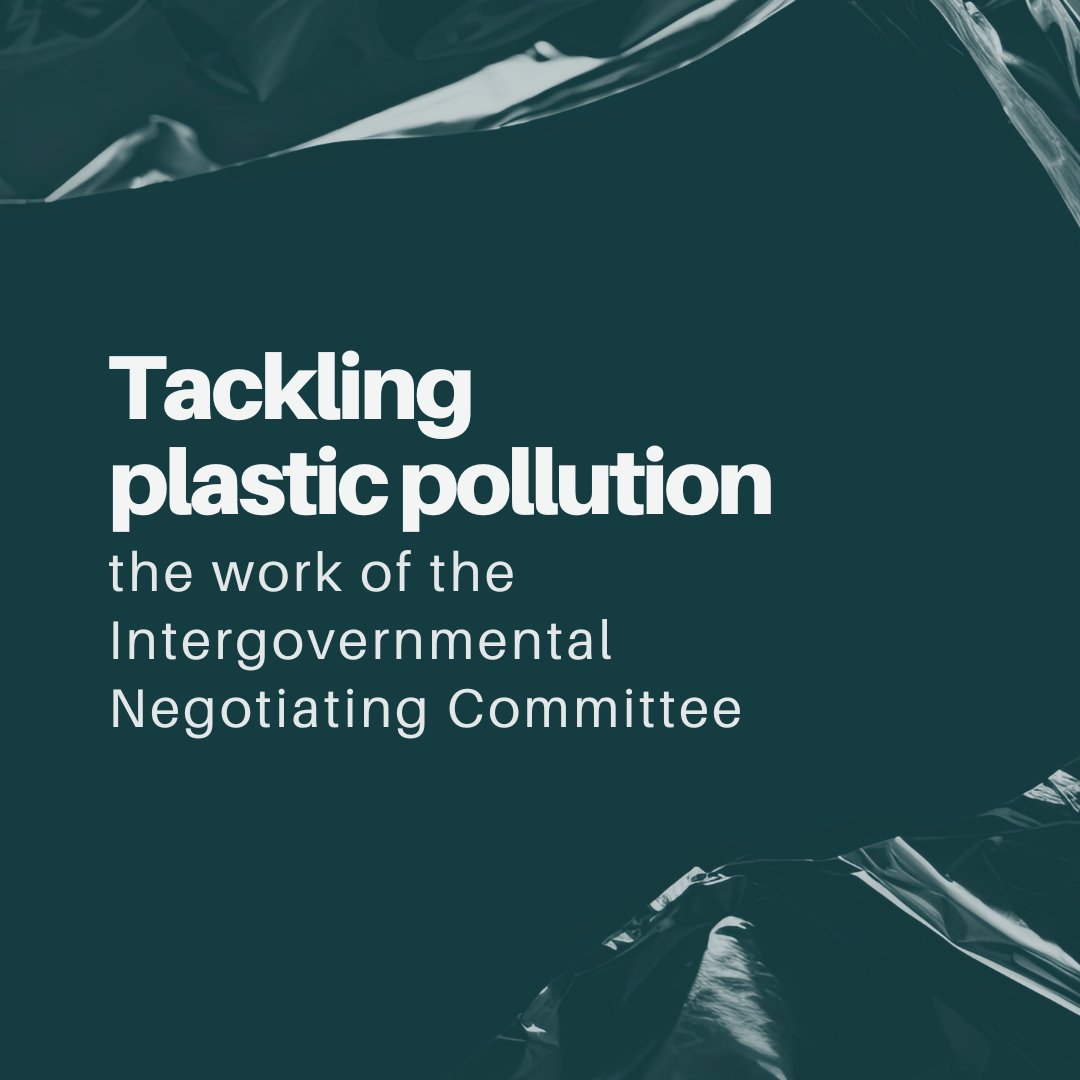 2024 is a crucial year for the Intergovernmental Negotiating Committee to develop the international legally binding instrument on plastic pollution, including in the marine environment.

Here's everything you need to know about the #PlasticsTreaty process: unep.org/inc-plastic-po…