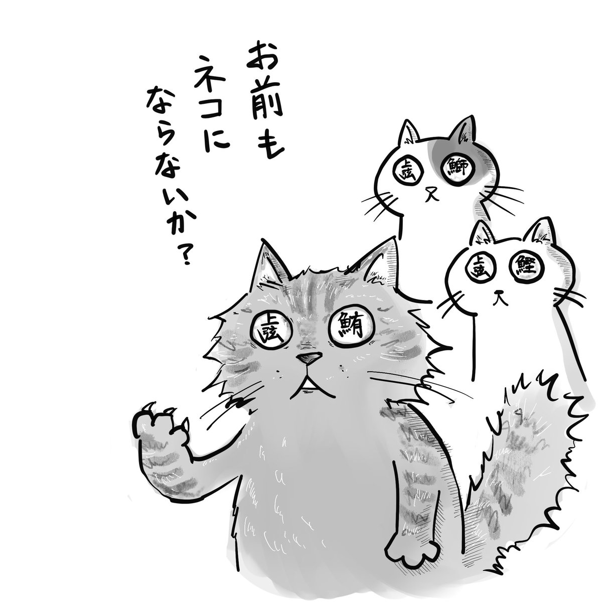 ちょっと検討します。