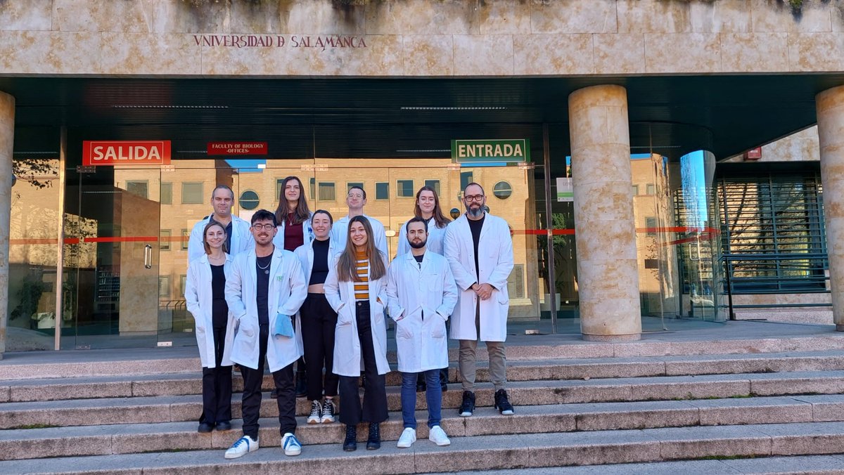 IBSAL_IIS's tweet photo. 🔊 @fundacionmutua apoya un estudio del #IBSAL para mejorar la respuesta al tratamiento del #cáncer de pulmón. El trabajo, liderado por el Dr. José Manuel Muñoz Félix, busca identificar por qué algunos afectados dejan de responder a la quimioterapia | #AyudasFundaciónMutua (+) https://t.co/SZh65eohNn