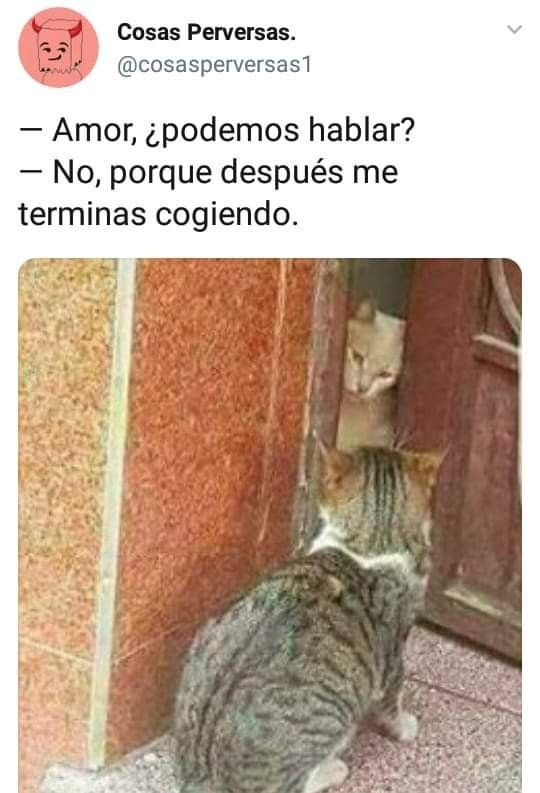 asi estoy yo con el