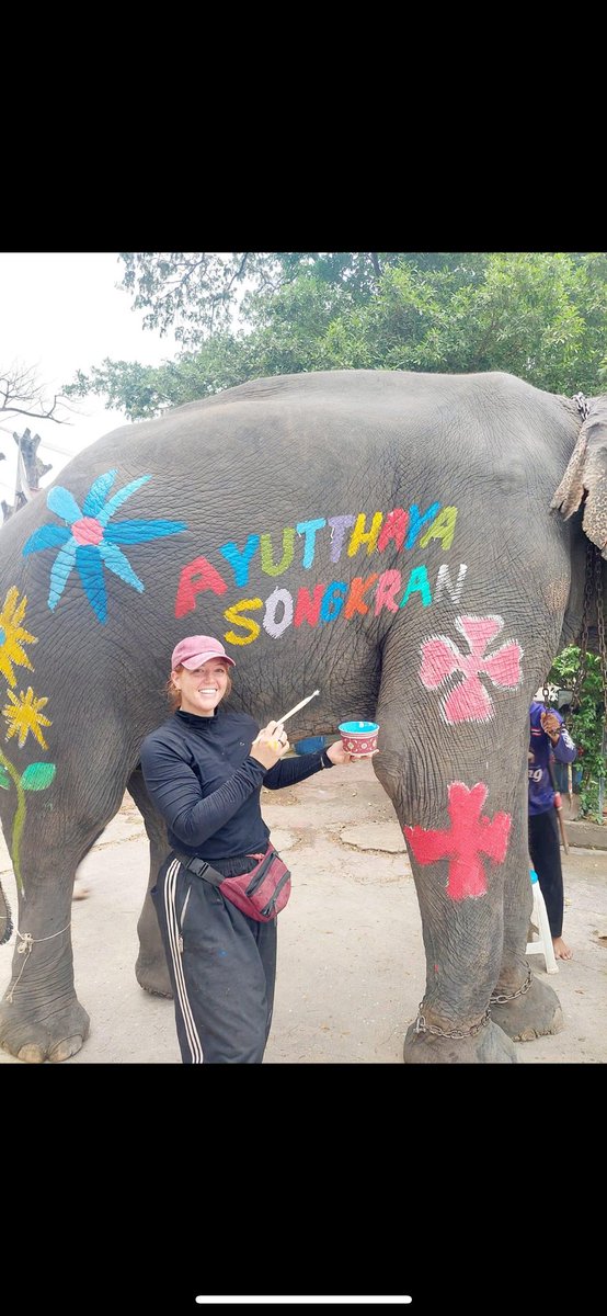 Lucycrew7's tweet image. Elephant is not a drawing board and does not draw !! it is forced to do it pricked by a needle same thing with the music of Paul Barton a true sanctuary would never allow this!!! 
That why he play at #Elephantstay 
The hell hole 🙏tourist be careful
Don’t support cruelty