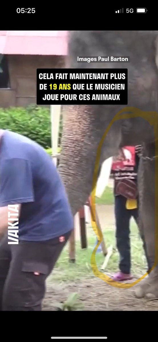 Lucycrew7's tweet image. Elephant is not a drawing board and does not draw !! it is forced to do it pricked by a needle same thing with the music of Paul Barton a true sanctuary would never allow this!!! 
That why he play at #Elephantstay 
The hell hole 🙏tourist be careful
Don’t support cruelty