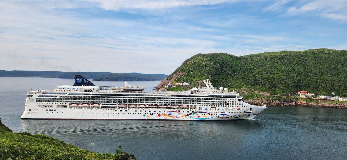 Marshie 🫐 tweet media