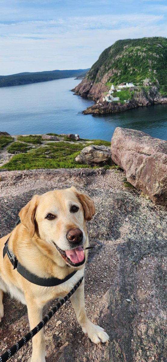 Marshie 🫐 tweet media