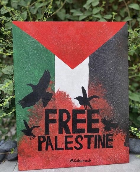 REVMAXXING's tweet photo. 🇵🇸❤️ Do you agree? https://t.co/GS41xFKCFr