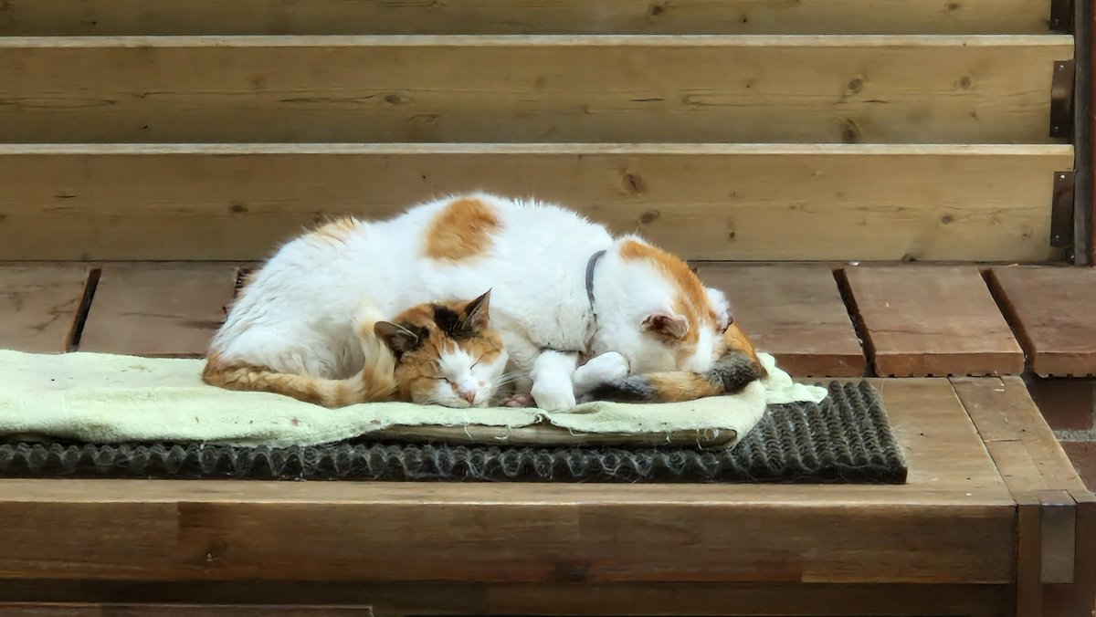 𝐕𝐞𝐫𝐚✰ tweet media