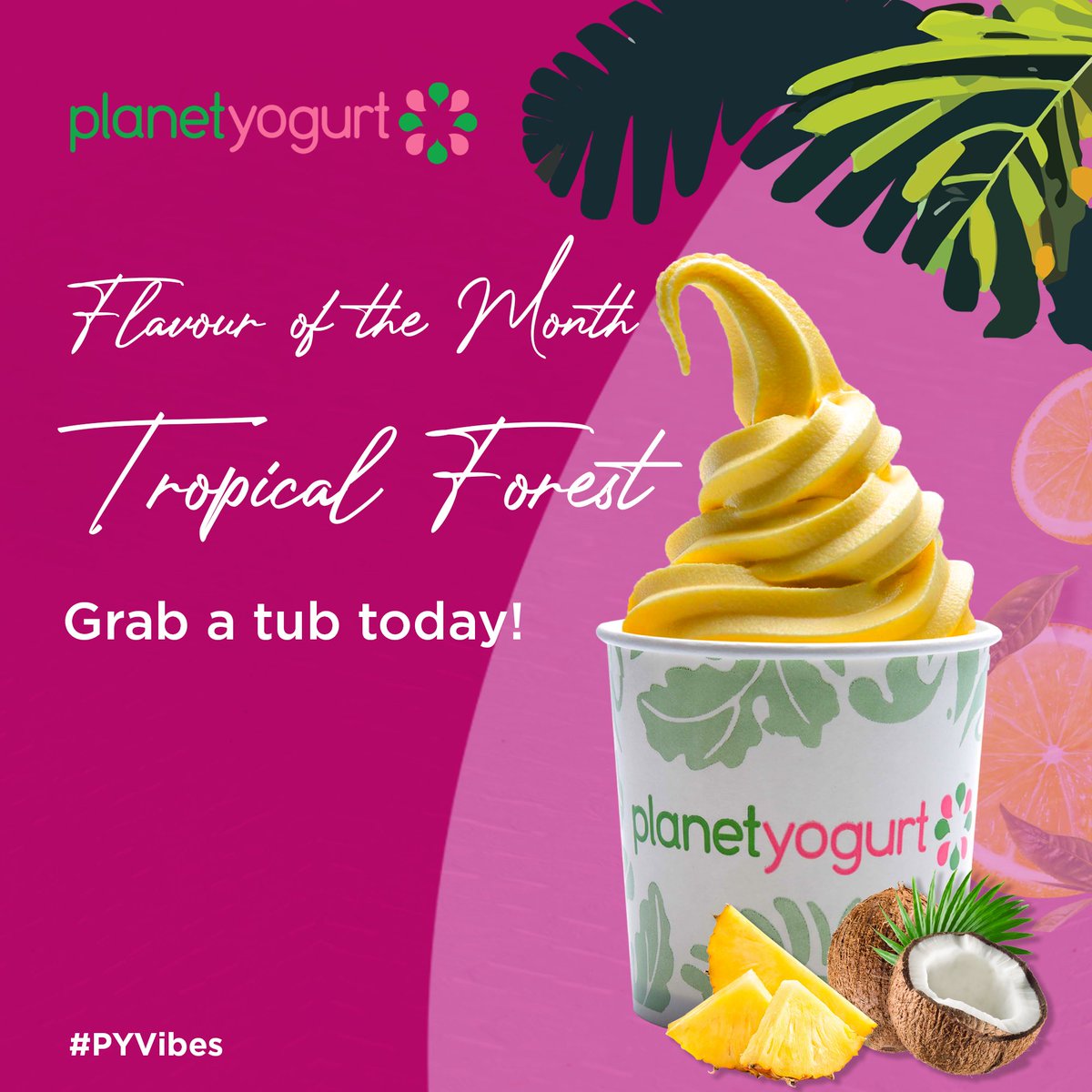PlanetYogurt's tweet photo. We have a brand-new flavour for you to enjoy this month. After a whole lot of tasting…your new flavour of the month is Tropical Forest. What do you need to know about it? That you haven’t tasted anything that’s this good before.
#PYVibes https://t.co/E4eCQ8i5sy