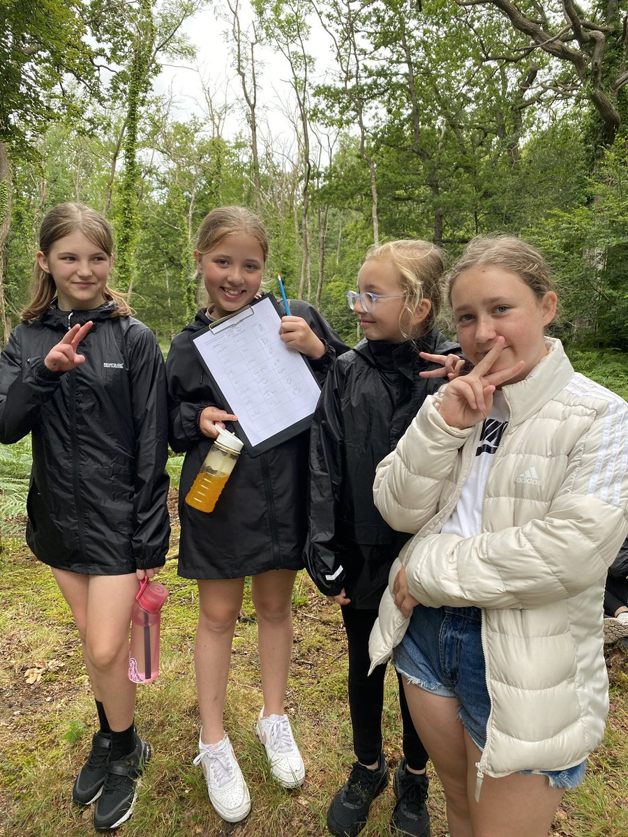 Lots of fun in the new forest for Year 6! #IncludeInspireInvest