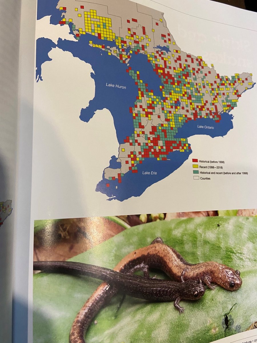 James Paterson tweet media