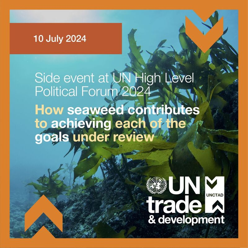 Global Seaweed Coalition tweet media