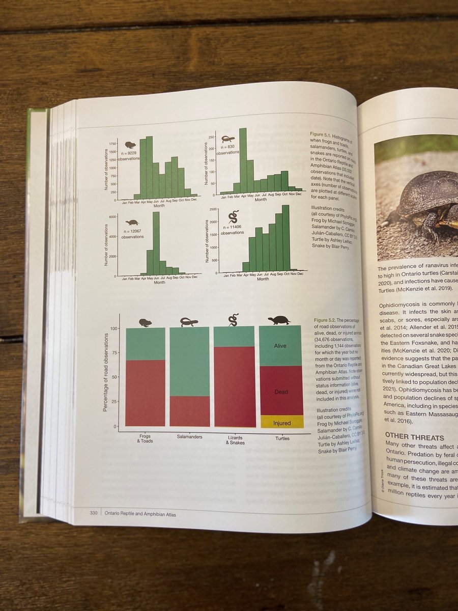 James Paterson tweet media