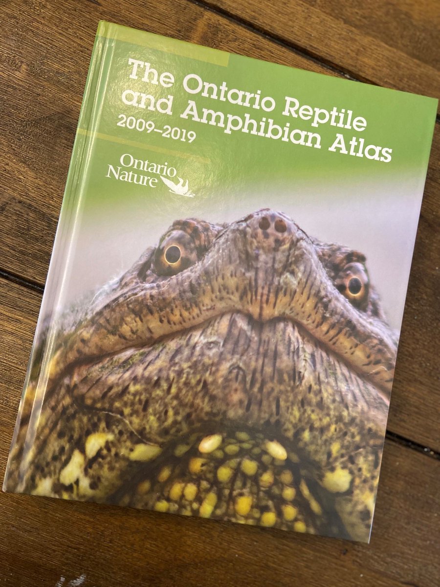 James Paterson tweet media