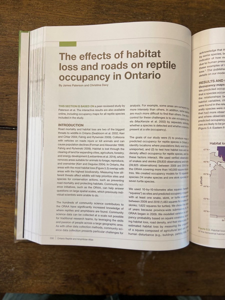 James Paterson tweet media