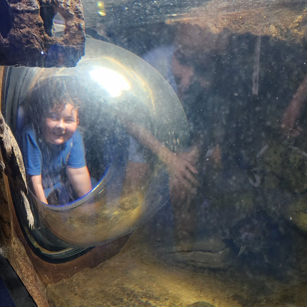 halebank_sch's tweet photo. Beech Class are loving the aquarium at Liverpool world museum 🐟🐠🐙🦈 #HBBeech #HBScience #liverpoolmuseum #HBGeography https://t.co/URiDvMFWeH