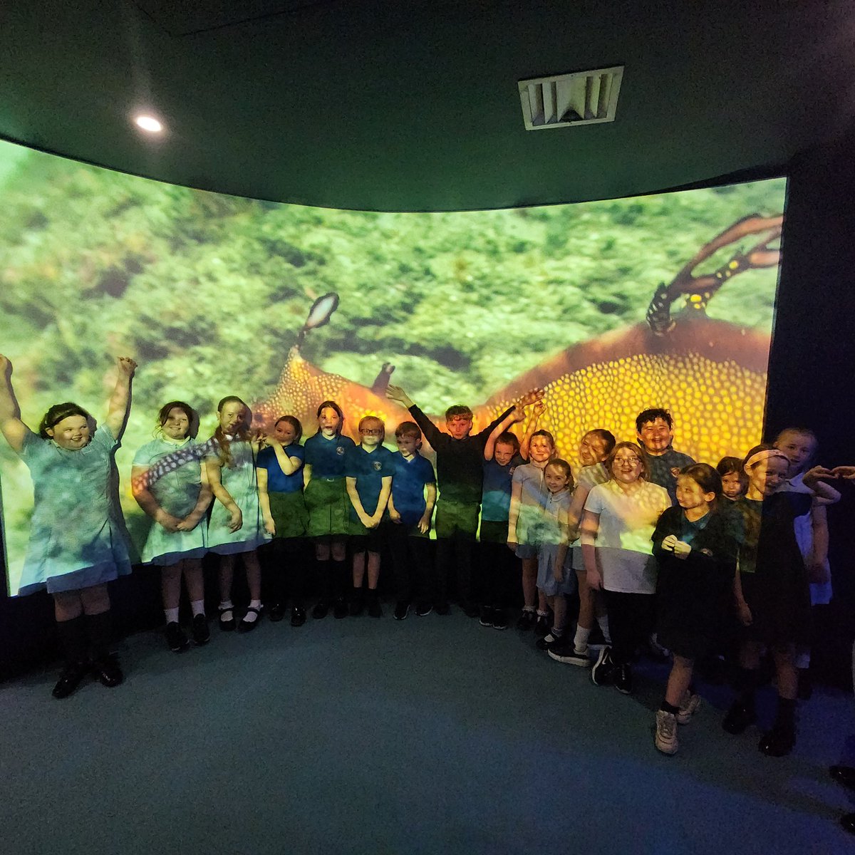halebank_sch's tweet photo. Beech Class are loving the aquarium at Liverpool world museum 🐟🐠🐙🦈 #HBBeech #HBScience #liverpoolmuseum #HBGeography https://t.co/URiDvMFWeH
