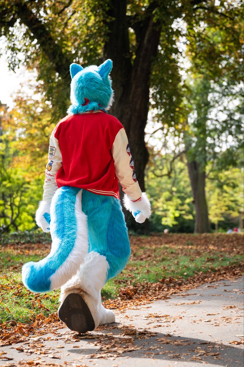 silo_fox's tweet photo. I’m leaving X…(a thread) https://t.co/6YGUxP2OlJ