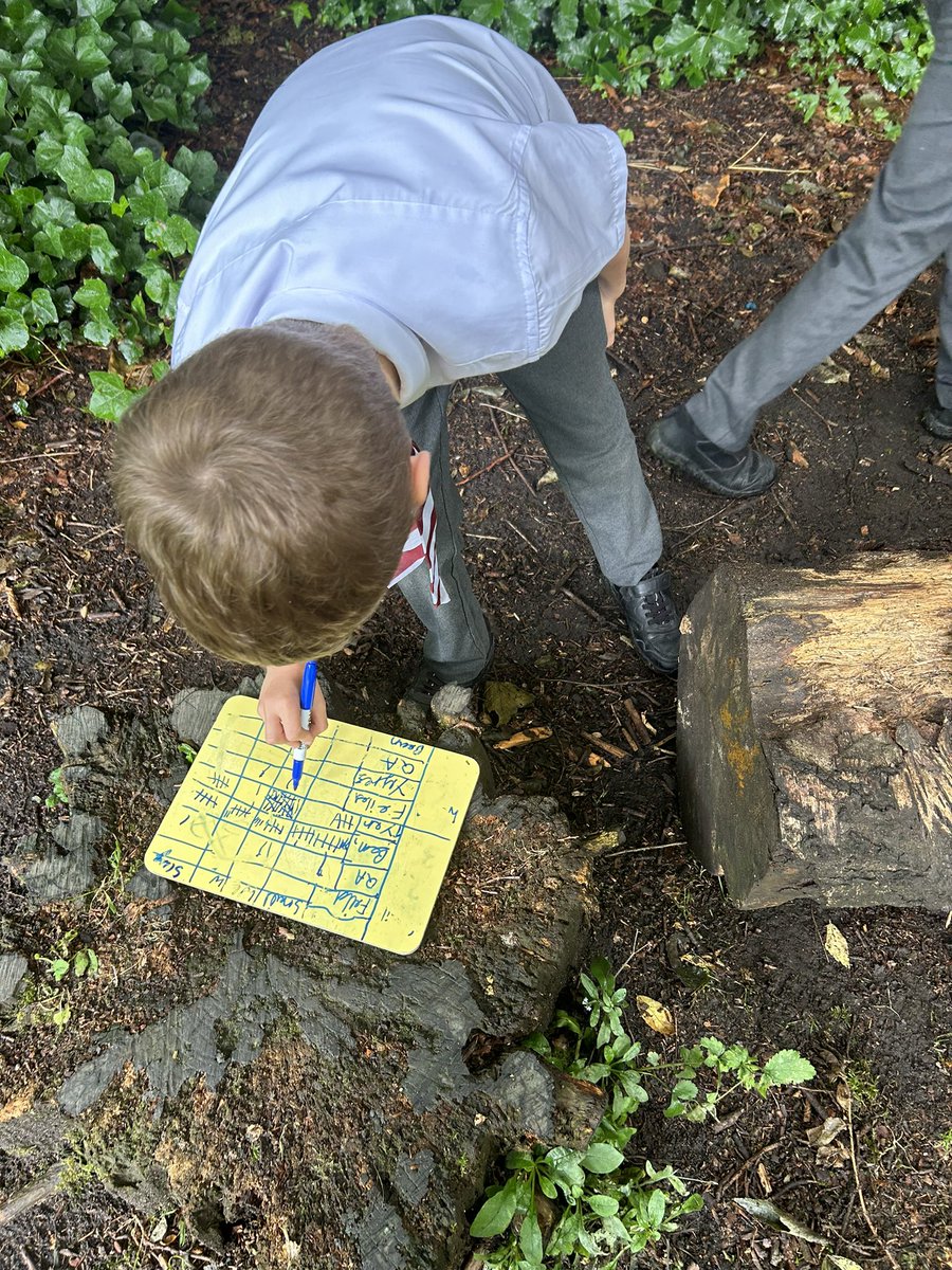 TyntesfieldMB's tweet photo. Collecting minibeast data from around the school…scientist in action. Now to record our data using maths skills! https://t.co/GFFPA3rbON