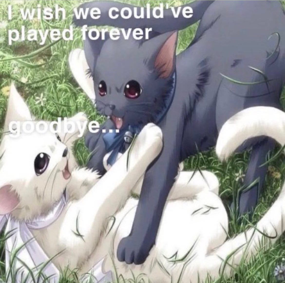 Celine (@incelinecel) on Twitter photo 