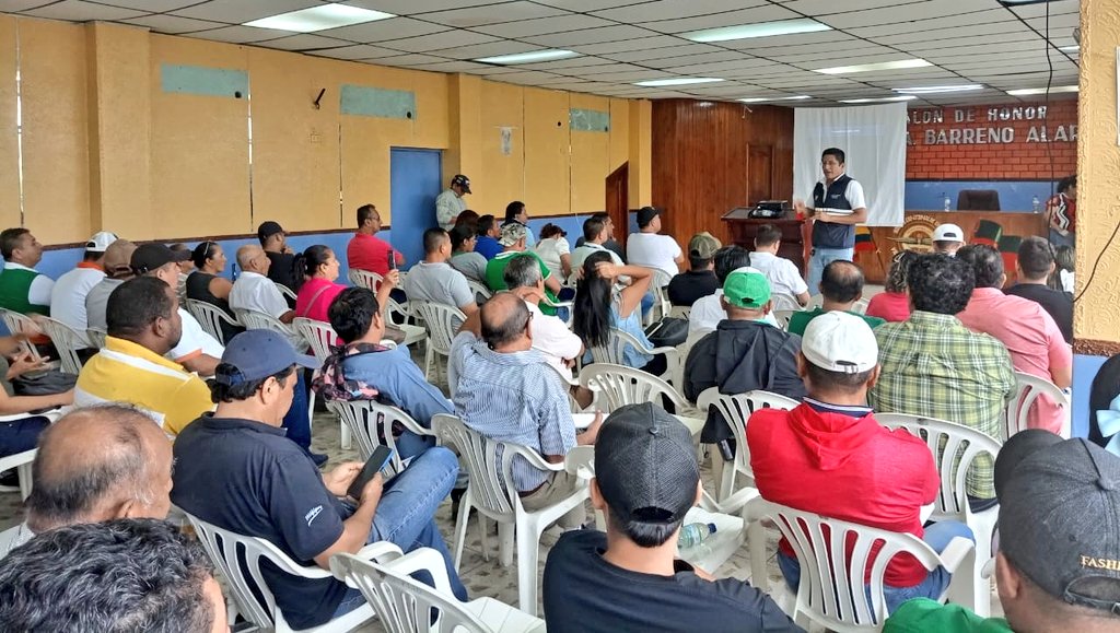 AgrocalidadZ5's tweet photo. #LosRíos | Realizamos capacitación a productores de musáceas sobre síntomas y medidas de bioseguridad de Ralstonia solanacearum Raza 2 y #FocR4T; con el objetivo de fortalecer medidas fitosanitarias en sus cultivos, cantón Valencia. 
#AgrocalidadCapacita https://t.co/bb9rYKI8DF