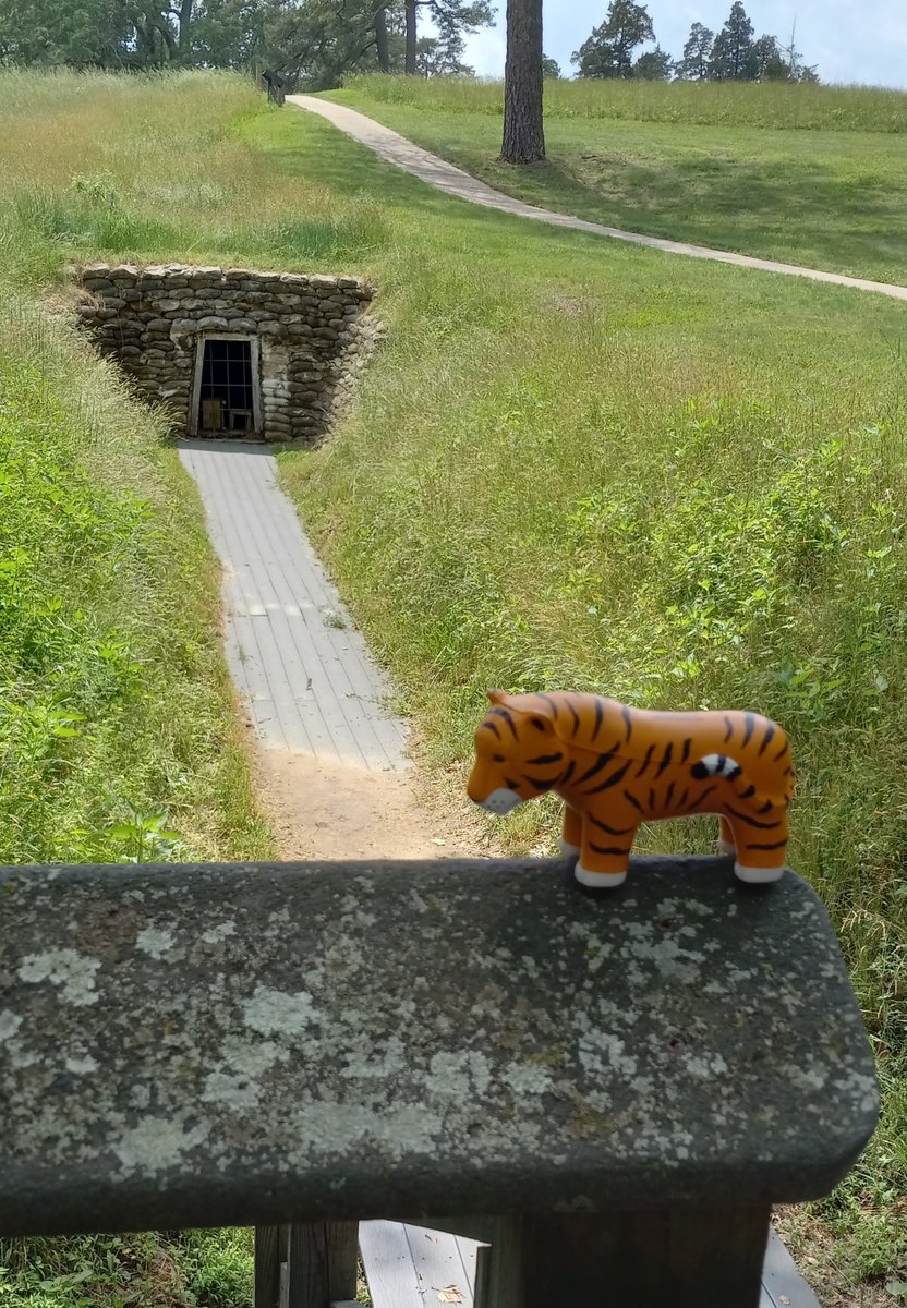 Auburn University Libraries tweet media