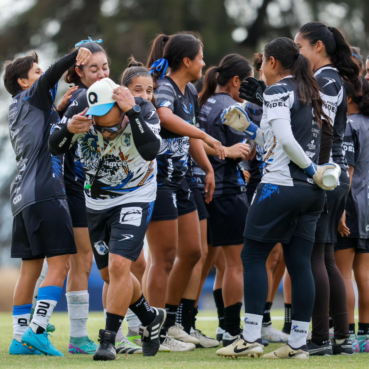 FerSamayoaG's tweet photo. Agradezco a dios y a la vida de ponerme en un lugar tan extraordinario con grandes personas que me han hecho feliz en tampoco tiempo, estoy dispuesto a darlo todo por ellas @GallosFemenil
Empezamos esta nueva aventura 🙌🏾
En construcción...
 🚧 👷🏾‍♂️⛏️👷🏼‍♀️ https://t.co/LGvKYxpxR5