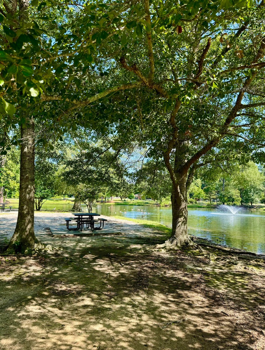 🌳 Continuing our celebration of Parks and Recreation Month, let's explore another gem in Statesboro – Shelby Park! Discover the serene beauty of Shelby Park, a perfect spot for nature lovers and visitors alike.