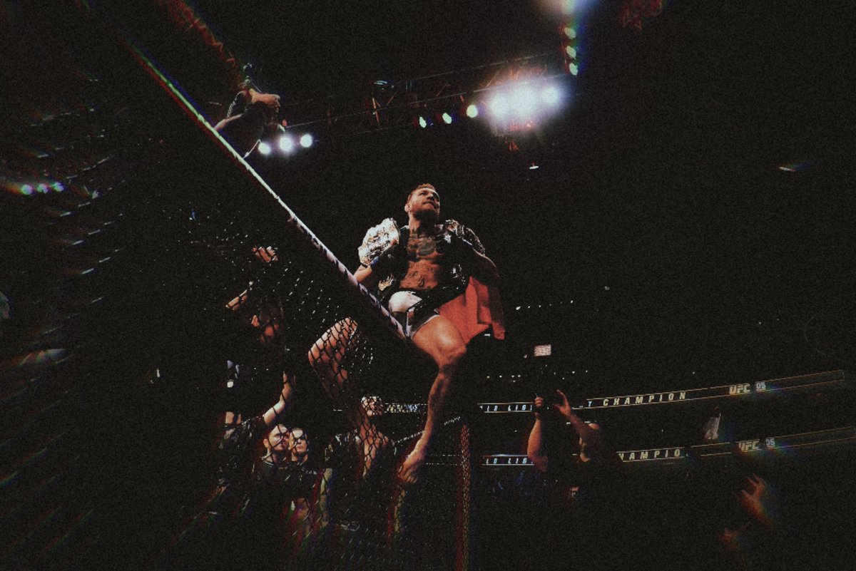 mcgregorufc22's tweet photo. Conor McGregor (2016) 📸 https://t.co/9NJyxr5ax7
