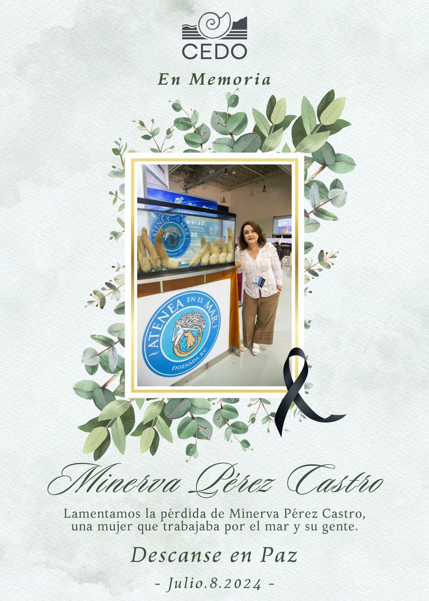 Nelida Barajas (@neigreen) on Twitter photo 