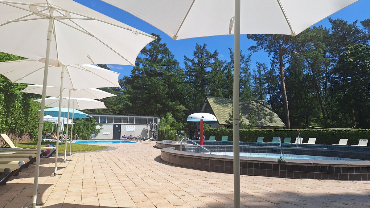 Onze 9 kampeerplekken op gras (R-veld) zijn vanaf vandaag online te boeken bij Het Lorkenbos. Ga naar lorkenbos.nl/kamperen voor direct boeken. 😍 Geniet van kamperen op de Veluwe deze zomer en boek nu. Vol = vol.