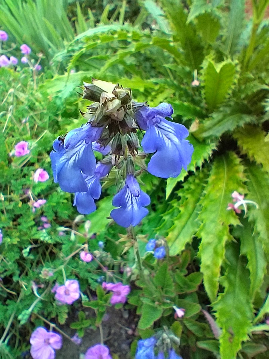 Ian and Teresa Moss tweet media