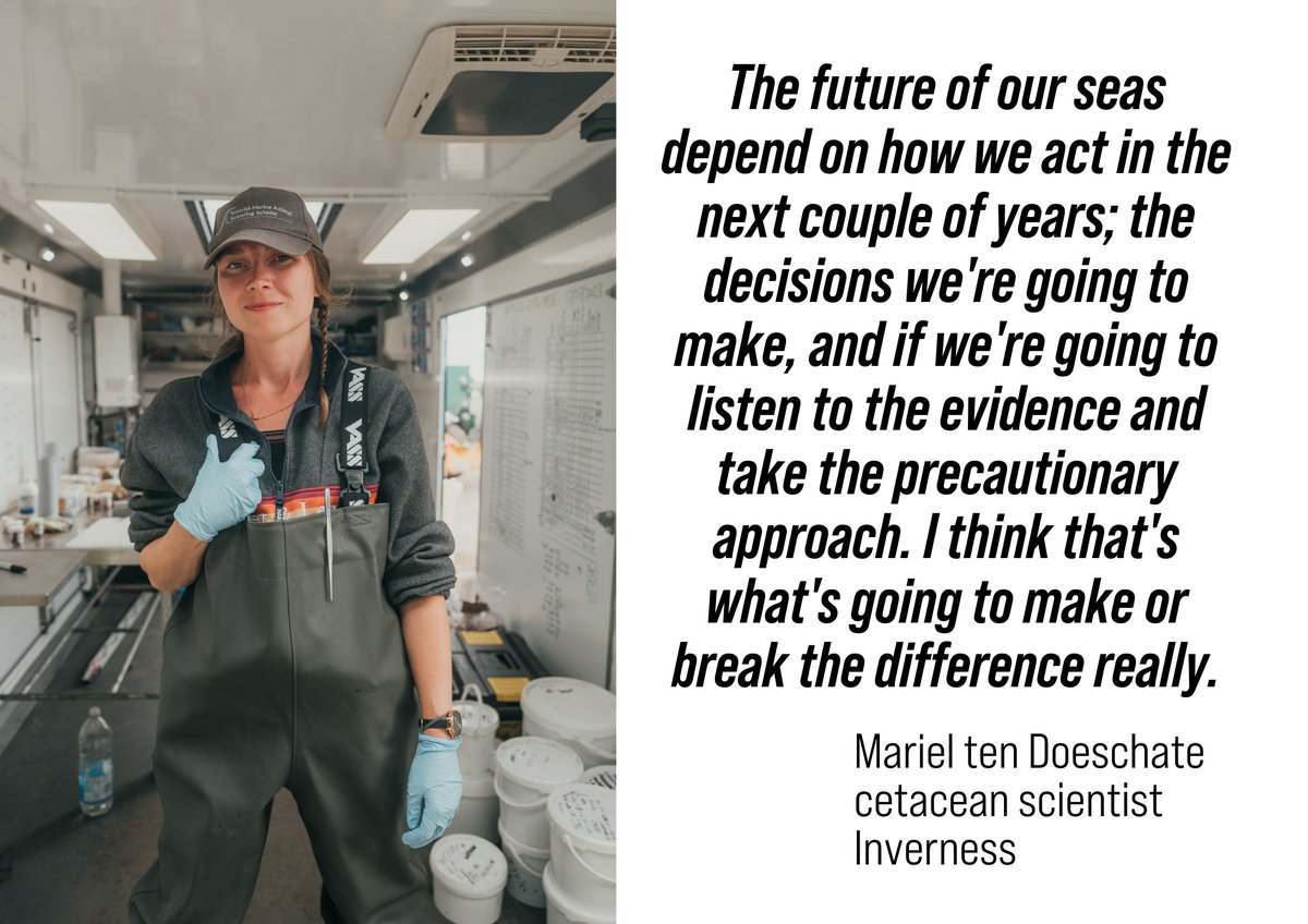 Our Seas tweet media