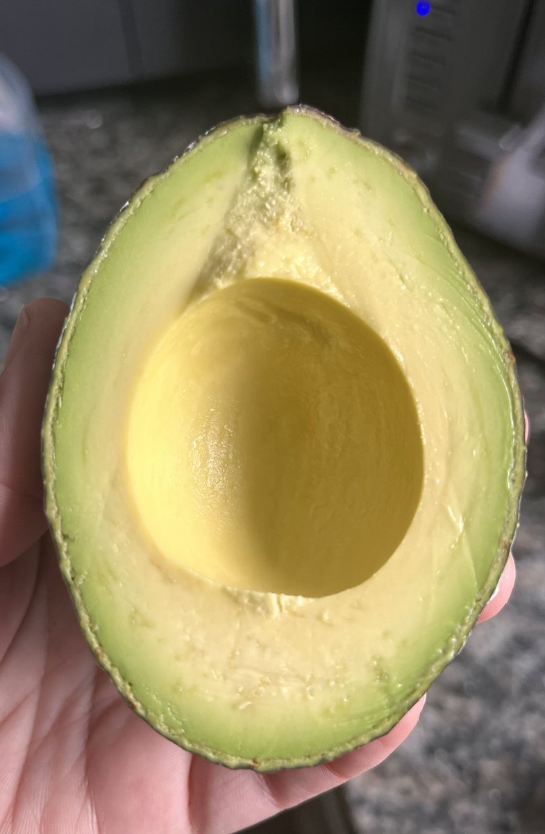 sam___likely's tweet photo. When the avocussy be hitting just right https://t.co/NHFBXnSowq