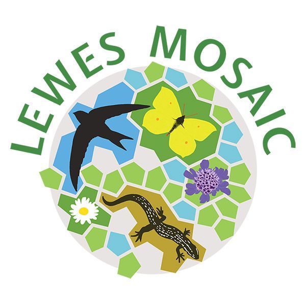 Railway Land Wildlife Trust tweet media