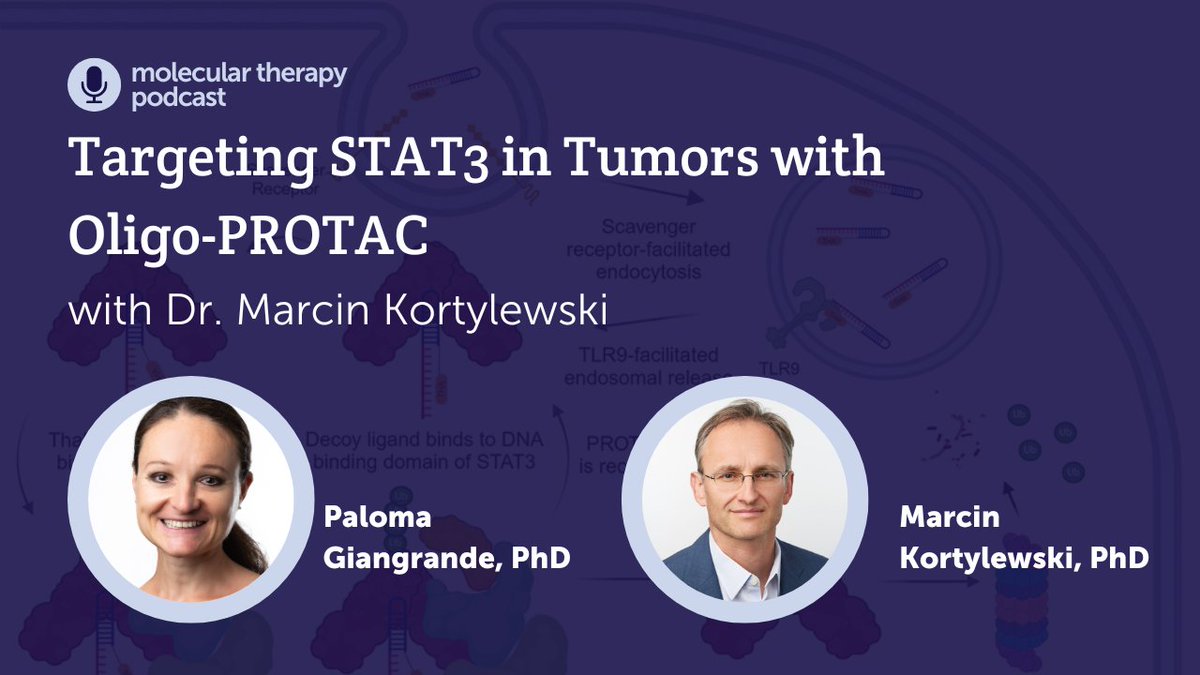 ASGCT (@asgctherapy) on Twitter photo Join ASGCT + <a href="/MolTherapy/">Molecular Therapy</a> for a conversation between Drs. <a href="/Giangran1Paloma/">Paloma Giangrande</a> + <a href="/kortylmt/">Marcin Kortylewski🇵🇱🇺🇦</a>. They discuss an #MTNA article by Dr. Kortylewski and colleagues,"Oligo-PROTAC strategy for cell-selective and targeted degradation of activated STAT3." bit.ly/3xGexLl Join ASGCT + <a href="/MolTherapy/">Molecular Therapy</a> for a conversation between Drs. <a href="/Giangran1Paloma/">Paloma Giangrande</a> + <a href="/kortylmt/">Marcin Kortylewski🇵🇱🇺🇦</a>. They discuss an #MTNA article by Dr. Kortylewski and colleagues,"Oligo-PROTAC strategy for cell-selective and targeted degradation of activated STAT3." bit.ly/3xGexLl