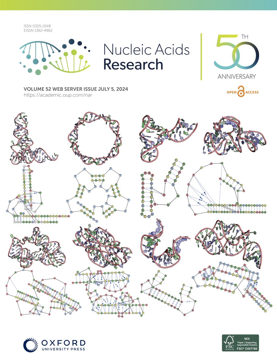 Remo Rohs (@remorohs) on Twitter photo Journal cover <a href="/NAR_Open/">Nucleic Acids Res</a> highlights our new method, RNAscape, for mapping base pairing and tertiary interactions in RNA structure: academic.oup.com/nar/article/52…. Same NAR issue features our new deep learning method to predict DNA shape: academic.oup.com/nar/article/52… <a href="/USCDornsife/">USC Dornsife College of Letters, Arts & Sciences</a> <a href="/USCResearch/">USC Research</a> Journal cover <a href="/NAR_Open/">Nucleic Acids Res</a> highlights our new method, RNAscape, for mapping base pairing and tertiary interactions in RNA structure: academic.oup.com/nar/article/52…. Same NAR issue features our new deep learning method to predict DNA shape: academic.oup.com/nar/article/52… <a href="/USCDornsife/">USC Dornsife College of Letters, Arts & Sciences</a> <a href="/USCResearch/">USC Research</a>