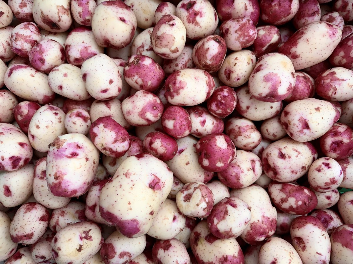 We have some new potatoes available at our farm store and market this week.

Come out to our farm store 10km West of Yorkton on Highway 52 (North side of the highway). We are open 11am-6pm Monday through Saturday

You can also find us at the Yorkton and Fort Qu’Appelle markets.