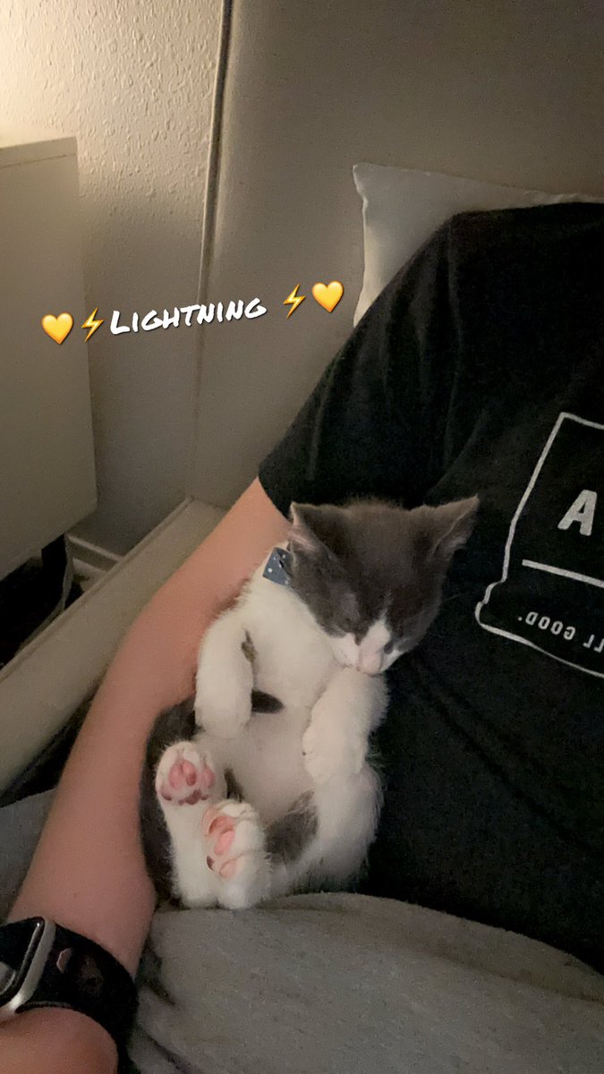 Introducing my new kitty… lightning⚡️
