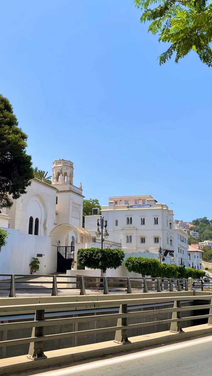 MonstreSansNom's tweet photo. a walk in Algiers 🇩🇿 https://t.co/diGIDSQKAA