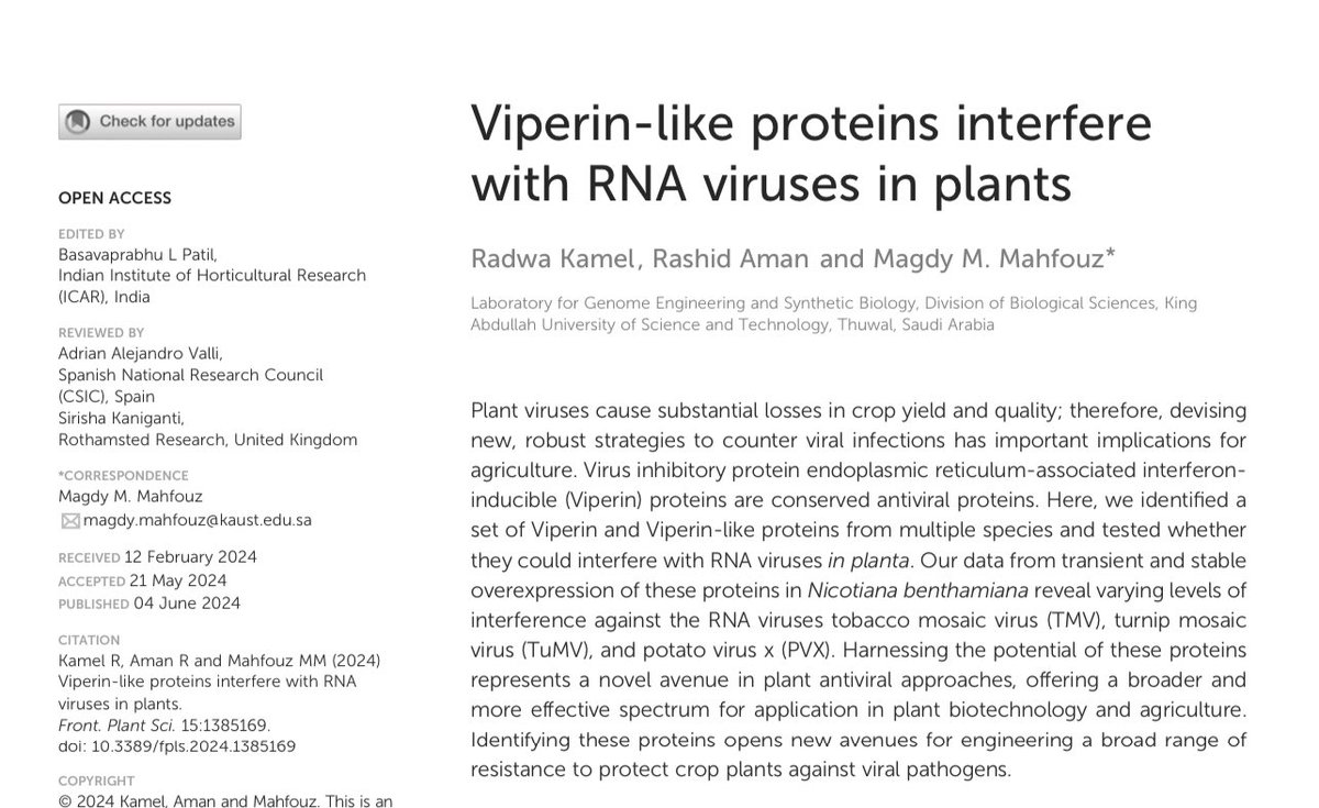 RadwaKamel66's tweet image. Hello,  
Check out our latest publication on how Viperins and Viperin-like proteins interfere with RNA viruses in plants! 🌱🦠

🔗 (frontiersin.org/journals/plant…)

#Viperins #ViperinLikeProteins #RNAviruses #Plants #GESB #KAUST #MoaA #Mocs1A