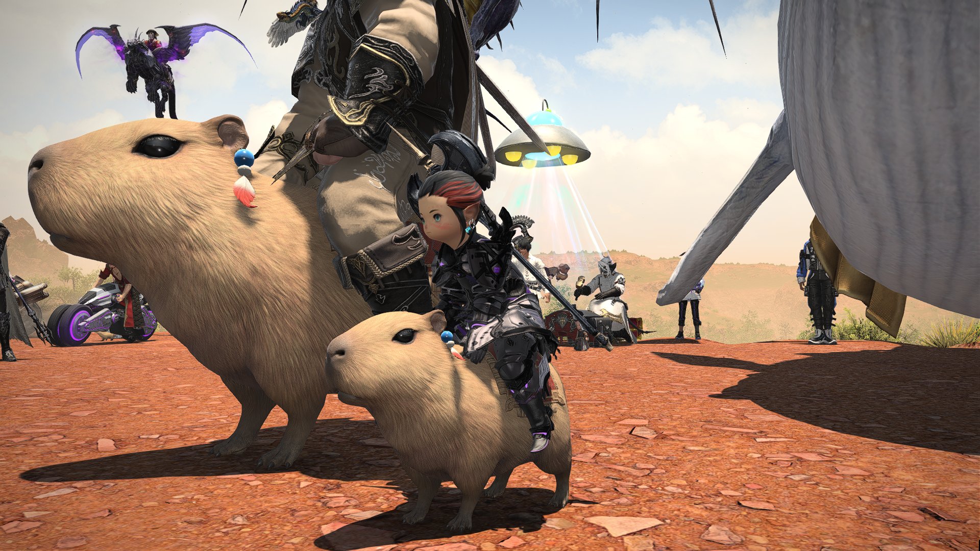 RonnieKrazy on X: “Am I proud that I grinded the Capybara mount 