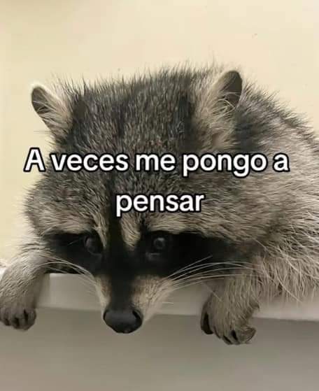 En Júpiter tweet media