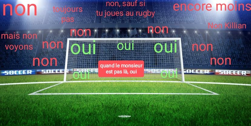 Bon les gars. Je rappelle les bases:
Les buts c'est là où y a les "Oui"
#FRAESP