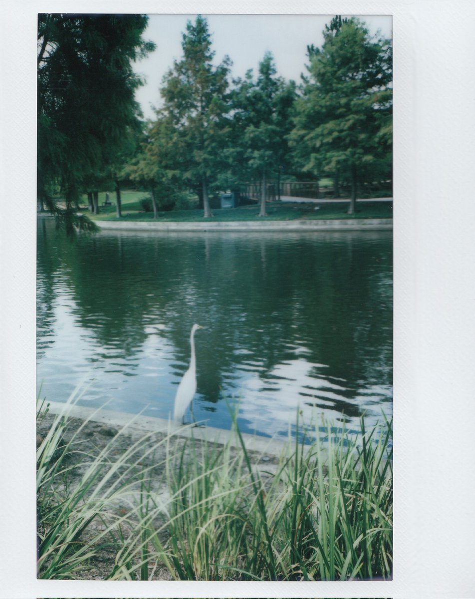 Gaige_404's tweet photo. Shooting Instant River Walk 

Took a river walk to try and get some cool shots, ummmm... I underestimated how far I walked. We'll just say mistakes were made.

#photography #instantphotography #instax #instaxwide #instantcamera #mintcamera #riverwalks #landscapephotography https://t.co/4KNx6yPW9n