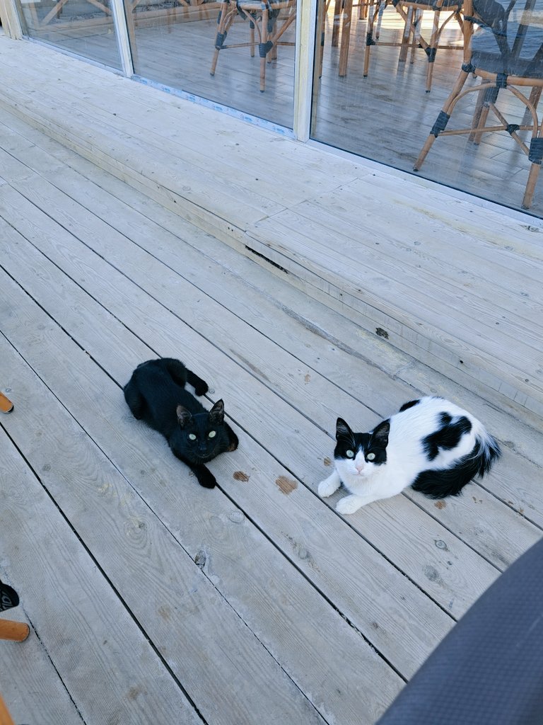 Clichebasokay's tweet image. Back home.
#dahab