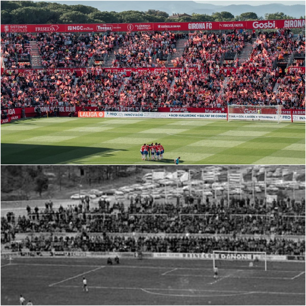 Albert Mateos Poch tweet media