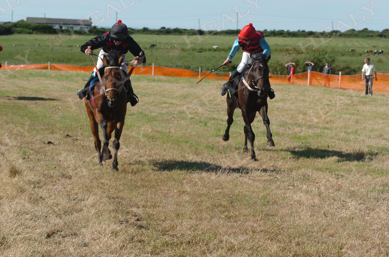 Pat Healy tweet media