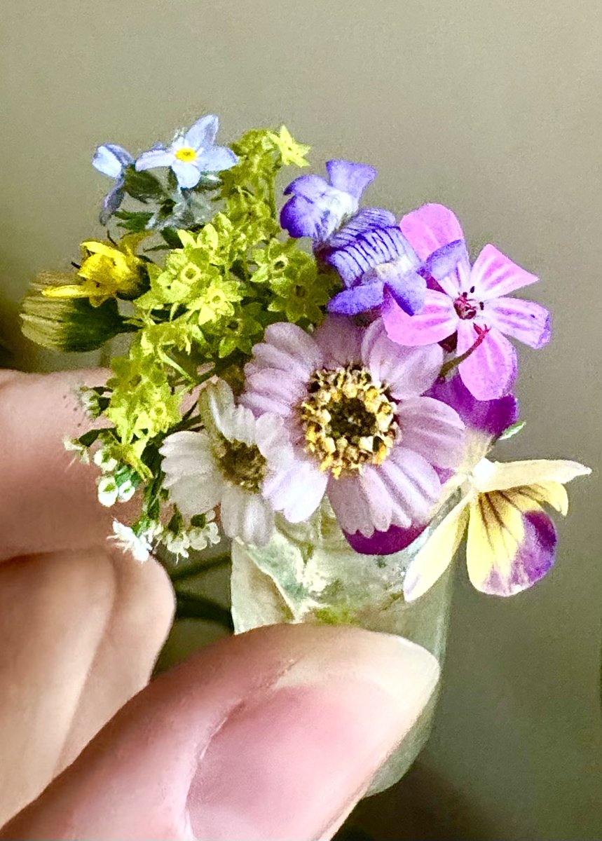 Depression &amp; anxiety are properly winning just now, executive function’s nowhere &amp; self confidence effed off to Torremolinos days ago. 
Made a posy in my tiniest Victorian bottle just now to try to lift my spirits &amp; quieten my brain a bit: