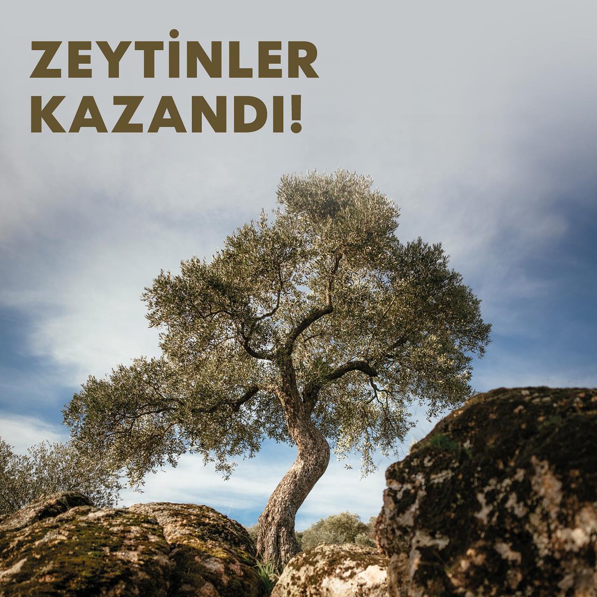 Doğa Derneği tweet media